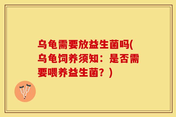 乌龟需要放益生菌吗(乌龟饲养须知：是否需要喂养益生菌？)