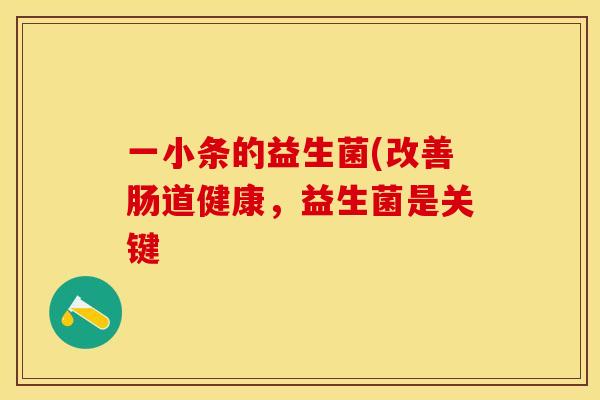 一小条的益生菌(改善肠道健康,益生菌是关键 一小条的益生菌(改善肠道健康,益生菌是关键
