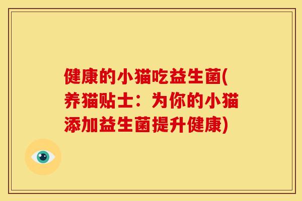 健康的小猫吃益生菌(养猫贴士:为你的小猫添加益生菌提升健康) 健康的小猫吃益生菌(养猫贴士:为你的小猫添加益生菌提升健康)