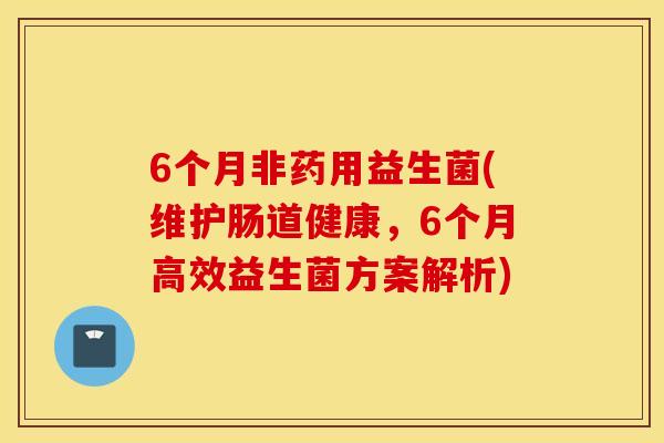 6个月非药用益生菌(维护肠道健康，6个月高效益生菌方案解析)