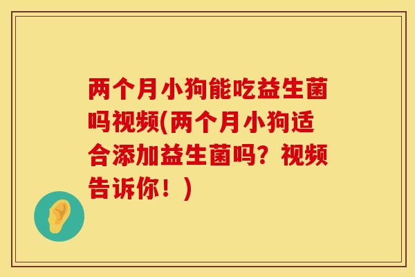 两个月小狗能吃益生菌吗视频(两个月小狗适合添加益生菌吗？视频告诉你！)