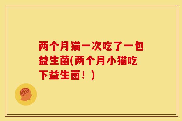 两个月猫一次吃了一包益生菌(两个月小猫吃下益生菌！)
