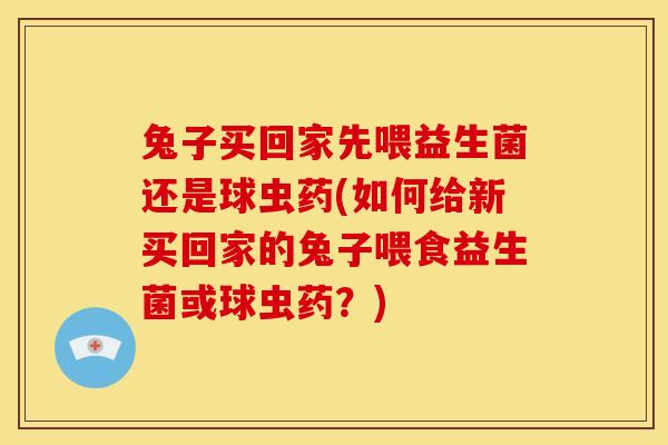 兔子买回家先喂益生菌还是球虫药(如何给新买回家的兔子喂食益生菌或球虫药?) 兔子买回家先喂益生菌还是球虫药(如何给新买回家的兔子喂食益生菌或球虫药?)
