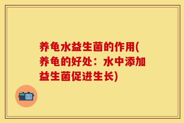 养龟水益生菌的作用(养龟的好处：水中添加益生菌促进生长)