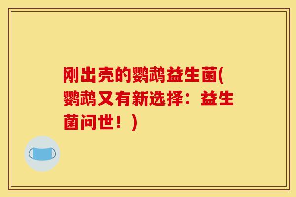 刚出壳的鹦鹉益生菌(鹦鹉又有新选择：益生菌问世！)