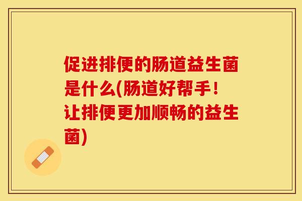 促进排便的肠道益生菌是什么(肠道好帮手！让排便更加顺畅的益生菌)