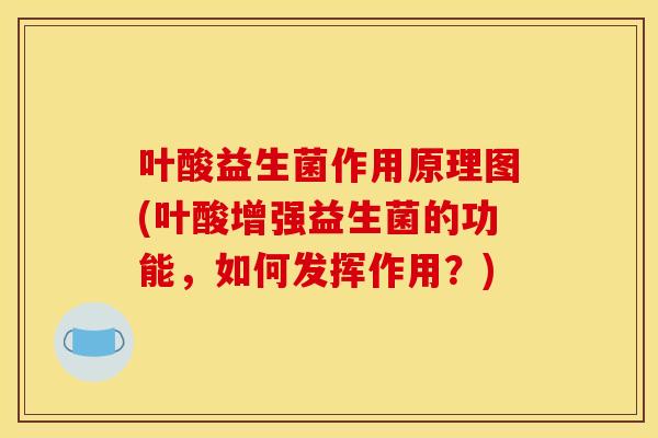 叶酸益生菌作用原理图(叶酸增强益生菌的功能,如何发挥作用?) 叶酸益生菌作用原理图(叶酸增强益生菌的功能,如何发挥作用?)