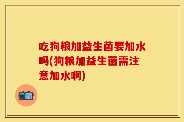 吃狗粮加益生菌要加水吗(狗粮加益生菌需注意加水啊) 吃狗粮加益生菌要加水吗(狗粮加益生菌需注意加水啊)