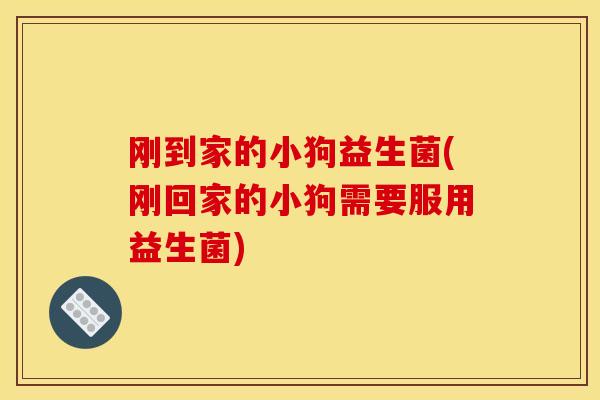 刚到家的小狗益生菌(刚回家的小狗需要服用益生菌) 刚到家的小狗益生菌(刚回家的小狗需要服用益生菌)