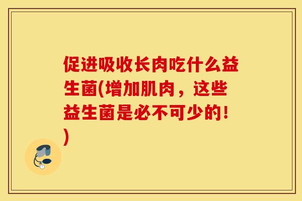 促进吸收长肉吃什么益生菌(增加肌肉,这些益生菌是必不可少的!) 促进吸收长肉吃什么益生菌(增加肌肉,这些益生菌是必不可少的!)