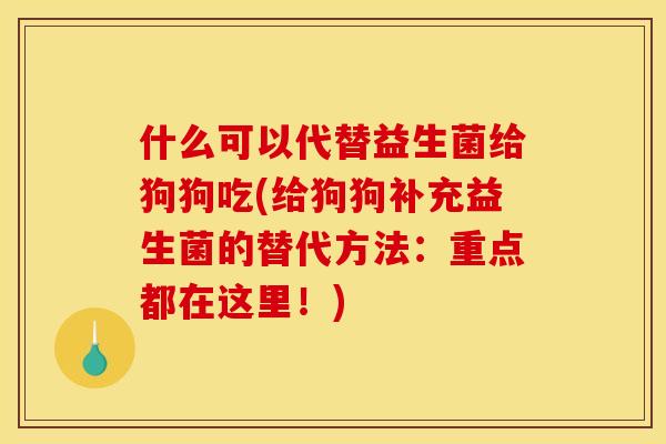 什么可以代替益生菌给狗狗吃(给狗狗补充益生菌的替代方法:重点都在这里!) 什么可以代替益生菌给狗狗吃(给狗狗补充益生菌的替代方法:重点都在这里!)