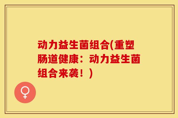 动力益生菌组合(重塑肠道健康:动力益生菌组合来袭!) 动力益生菌组合(重塑肠道健康:动力益生菌组合来袭!)