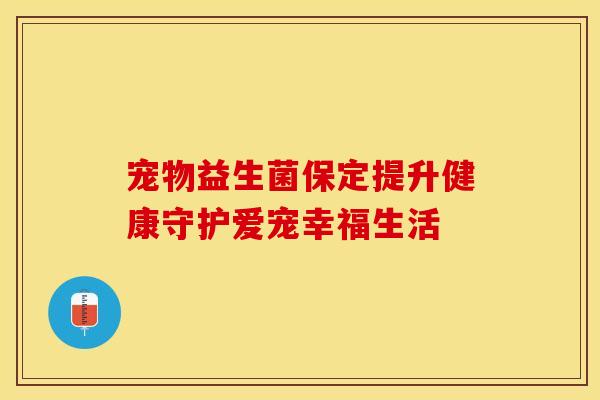 宠物益生菌保定提升健康守护爱宠幸福生活