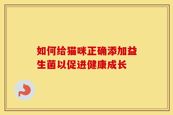 如何给猫咪正确添加益生菌以促进健康成长