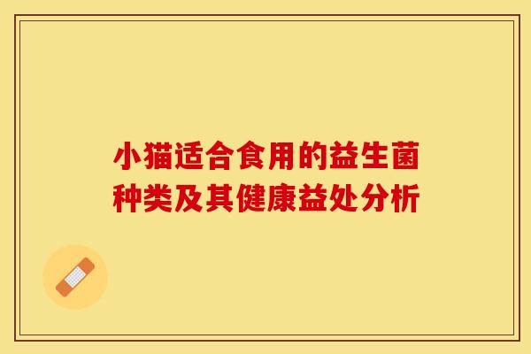 小猫适合食用的益生菌种类及其健康益处分析 小猫适合食用的益生菌种类及其健康益处分析