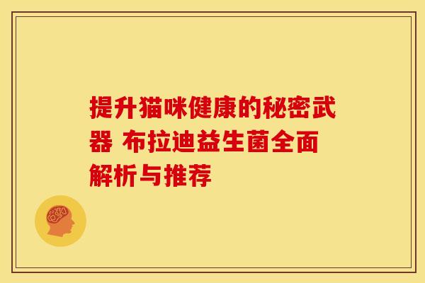 提升猫咪健康的秘密武器 布拉迪益生菌全面解析与推荐 提升猫咪健康的秘密武器 布拉迪益生菌全面解析与推荐
