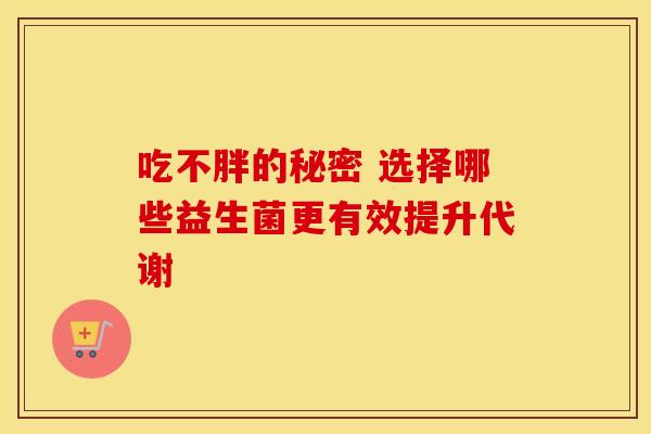 吃不胖的秘密 选择哪些益生菌更有效提升代谢