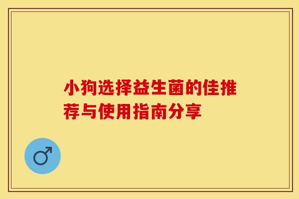 小狗选择益生菌的佳推荐与使用指南分享