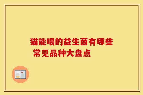 猫能喂的益生菌有哪些 常见品种大盘点