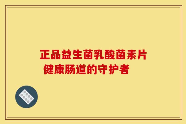 正品益生菌乳酸菌素片 健康肠道的守护者