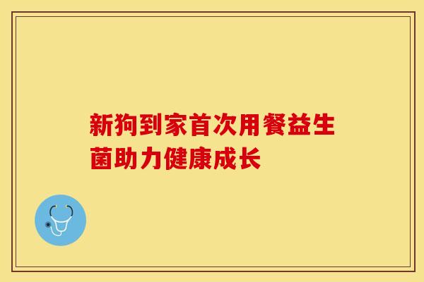 新狗到家首次用餐益生菌助力健康成长