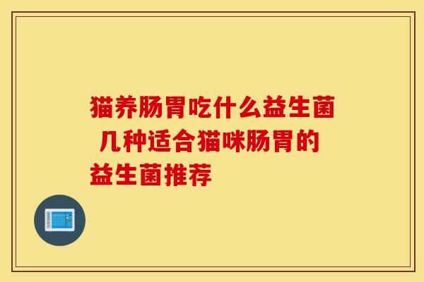 猫养肠胃吃什么益生菌 几种适合猫咪肠胃的益生菌推荐