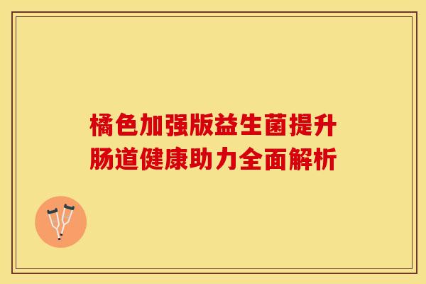 橘色加强版益生菌提升肠道健康助力全面解析