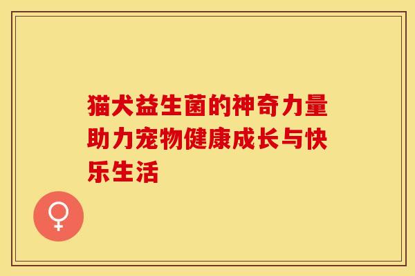 猫犬益生菌的神奇力量助力宠物健康成长与快乐生活