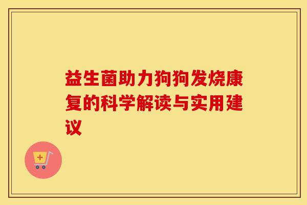 益生菌助力狗狗发烧康复的科学解读与实用建议