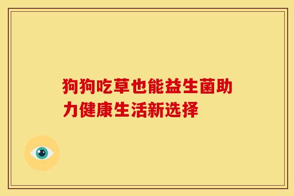 狗狗吃草也能益生菌助力健康生活新选择 狗狗吃草也能益生菌助力健康生活新选择