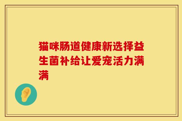 猫咪肠道健康新选择益生菌补给让爱宠活力满满