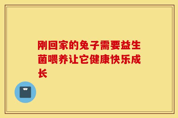 刚回家的兔子需要益生菌喂养让它健康快乐成长 刚回家的兔子需要益生菌喂养让它健康快乐成长