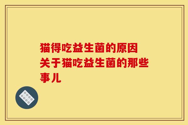 猫得吃益生菌的原因 关于猫吃益生菌的那些事儿