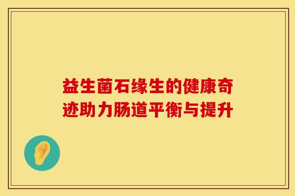 益生菌石缘生的健康奇迹助力肠道平衡与提升
