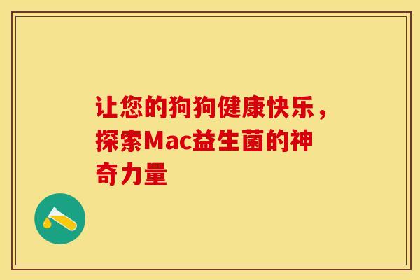 让您的狗狗健康快乐，探索Mac益生菌的神奇力量