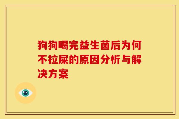 狗狗喝完益生菌后为何不拉屎的原因分析与解决方案