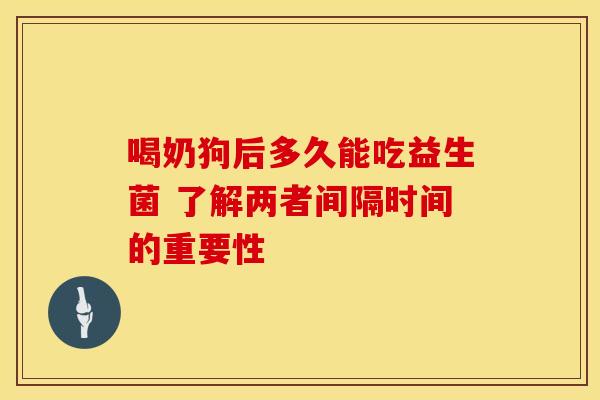 喝奶狗后多久能吃益生菌 了解两者间隔时间的重要性