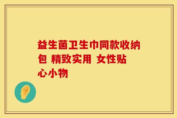 益生菌卫生巾同款收纳包 精致实用 女性贴心小物