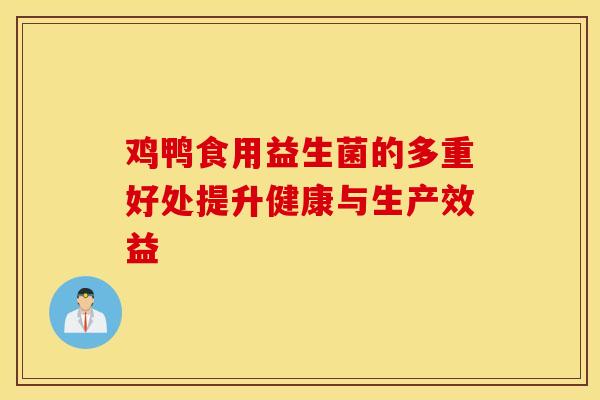鸡鸭食用益生菌的多重好处提升健康与生产效益