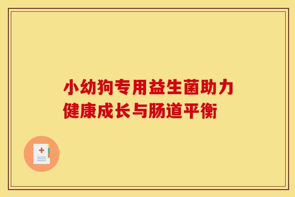 小幼狗专用益生菌助力健康成长与肠道平衡