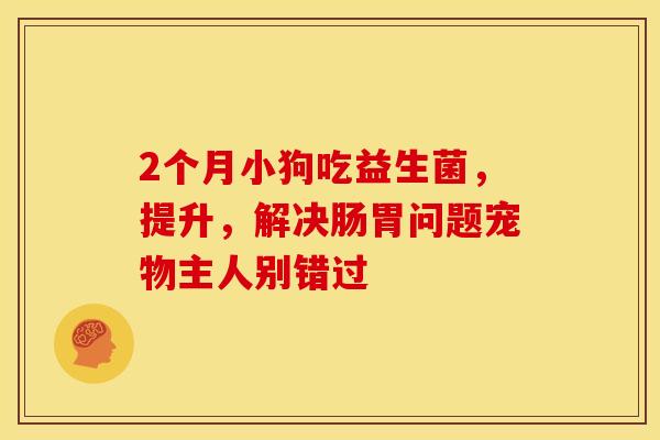 2个月小狗吃益生菌，提升，解决肠胃问题宠物主人别错过