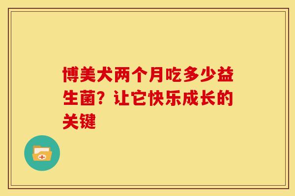 博美犬两个月吃多少益生菌？让它快乐成长的关键