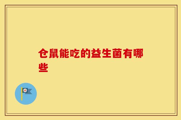 仓鼠能吃的益生菌有哪些