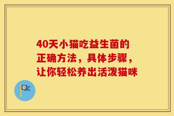 40天小猫吃益生菌的正确方法，具体步骤，让你轻松养出活泼猫咪