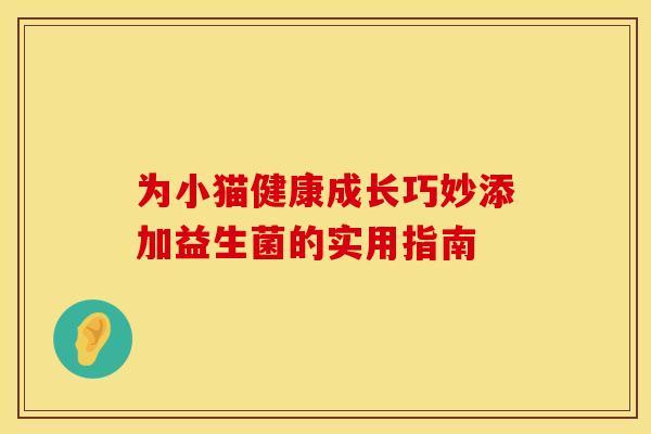 为小猫健康成长巧妙添加益生菌的实用指南