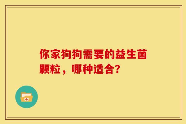 你家狗狗需要的益生菌颗粒，哪种适合？