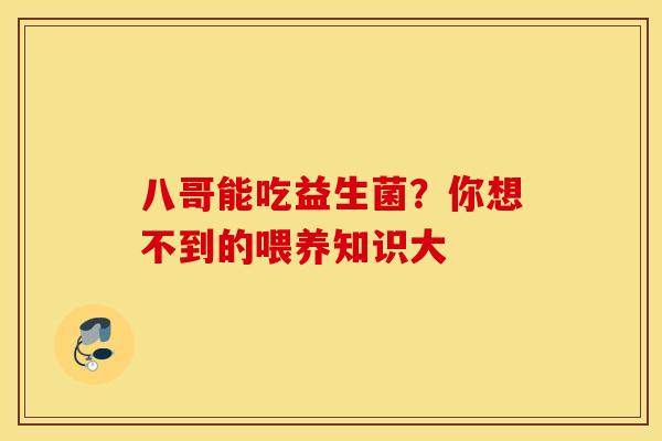 八哥能吃益生菌？你想不到的喂养知识大