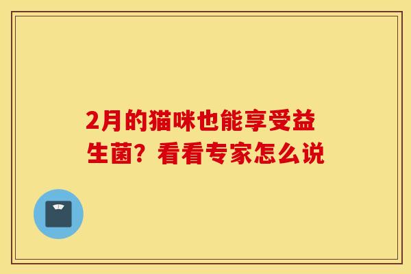 2月的猫咪也能享受益生菌？看看专家怎么说