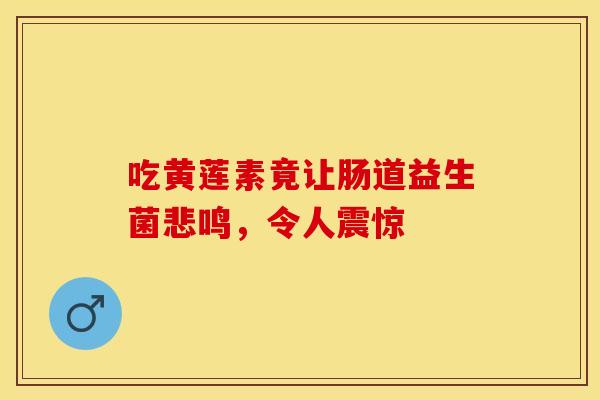 吃黄莲素竟让肠道益生菌悲鸣，令人震惊