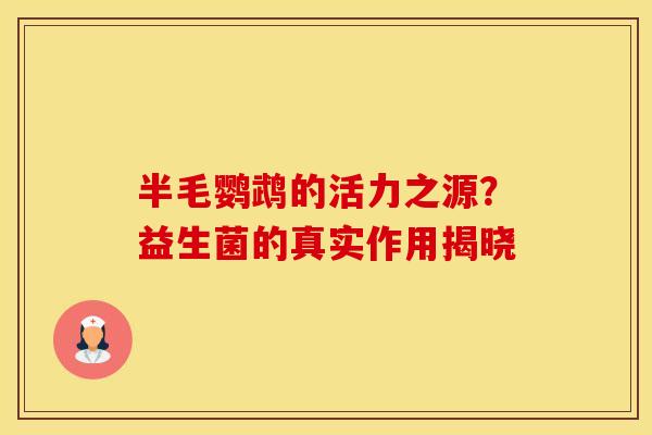 半毛鹦鹉的活力之源？益生菌的真实作用揭晓
